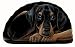 Doberman - Pupper Weights
