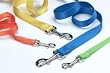 Hamilton Deluxe 6' x 5/8" S/T Nylon Dog Lead, Mango