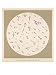 Vibrio (Or Vibrion) of Cholera Discovered by Koch 1883 Art Giclee Poster Print, 18x24