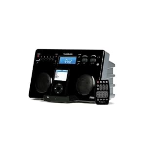 Tivoli iYiYi High-Fidelity AM/FM Stereo System with Alarm Clock and iPod Dock (Black/Silver)