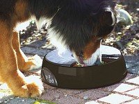 HUND füttern Hunde FUTTER-AUTOMAT FutterNapf +Timer