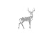Whitetail DEER hunting theme LODGE wall SUDDEN SHADOWS cabin Decor Art -Easy to Install & Remove - NO Sticky RESIDUE