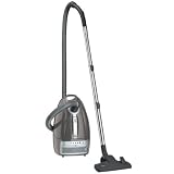Fakir S 350 �ko Power Staubsauger mit Beutel / 1300 Watt / marrone perla / HEPA-Filter / rundum M�belschutzleistevon "Fakir"