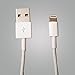 AmaziPro8 Lightning Cable 3ft (Three Feet) 8 pin USB SYNC Cable Charger Cord for Apple iPhone 6 Plus / 6 / 5s / 5c / 5 / iPad Air / iPad mini / mini 2 / iPad and iPod nano (Compatible with iOS 8) [White]