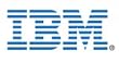 IBM 4-GBPS Fc Single-port Pci-e Hba
