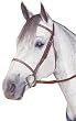 Kincade Raised Fancy Stitched Bridle