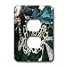 Snakes - Burmese Python - Light Switch Covers - 2 plug outlet cover