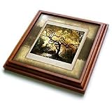 Susan Brown Designs Nature Themes - Bonsai Japanese Maple - Trivets