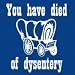 You Have Died of Dysentery - Funny T-Shirt