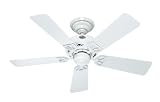 31GOkrJiIWL. SL160  Ceiling Fan with Light Kit   in Pure White, 42 inches