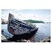 Awash Jigsaw Puzzle