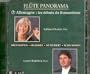 Fl�te Panorama, Vol. 7: Allemagne, les d�buts du Romantisme
