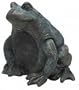 Bahama Sounds Webster the Frog Landscape Speaker (PTF100)