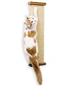Bootsies All in One Cat Scratcher