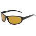 2010 sunglasses Eagle Eyes Fore