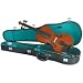 Bestler 1/16 Size Violin Outfit