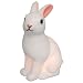 Rabbit Night Light