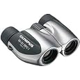 OLYMPUS �o�ዾ 10X21 DPC I �I�����p�X