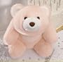 9 Inch 25th Anniversary Snuffles by Gund