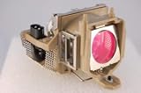 BenQ PB2250 projector lamp replacement bulb with housing - high quality replacement lamp