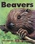 Beavers (Kids Can Press Wildlife Series)