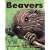 Beavers (Kids Can Press Wildlife Series)