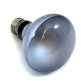 150 Watt Dayspot Grow Bulb