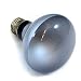 150 Watt Dayspot Grow Bulb