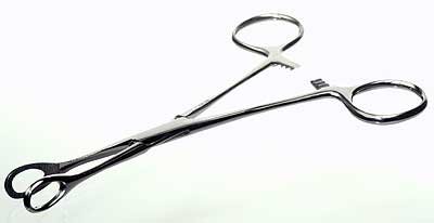 SE Forceps, Sponge 7