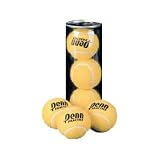 Penn Practice / Coach Tennis Balls- 24 Can Case