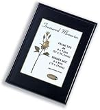 Electronics : Photo Album Company Fast Frame Back-loading Glass-fronted Black A4 Ref A4MARBL