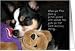 Dog Fibromylagia Support Card