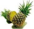 pineapple flavor powder