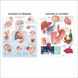 Healthy Lifestyles Smoking + Alcohol Chart Set Laminated-DCS1