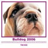 The Dog Bulldog (Artlist Collection)
