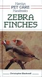 Zebra finches