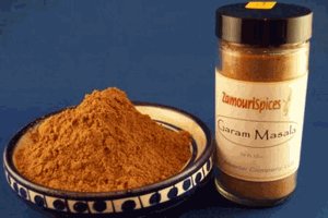 Childrens Toyshop  Gourmet Food : Garam Masala Spice Blend 2.0 oz - Zamouri Spices