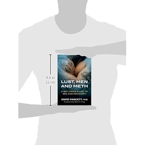 Lust, Men, and Meth: A Gay Man's Guide to Sex and Recovery