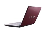 Sony VAIO VGN-FJ290P1R 14.1