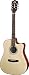GAD-40CE Acoustic Electric Guitar Natural Natural