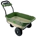 LUVcart CC-LUV01A Silver Edition Premium Motorized Lawn Utility Vehicle