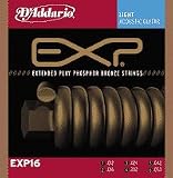 D Addario EXP16