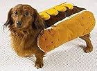 Dog Costume - Hot Diggity Dog Halloween Costume (Hot Dog w/Mustard) - Small
