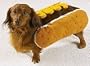 MEDIUM - MUSTARD - Hot Dog Halloween Costume - 12" to 16"