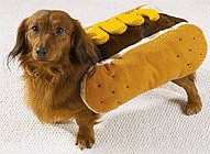 Dog Costume - Hot Diggity Dog Halloween Costume (Hot Dog w/Mustard) - Small