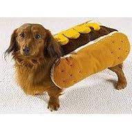 Buy Costumes Dog Costume - Hot Diggity Dog Halloween Costume (Hot Dog w/Mustard) - Medium