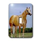 Horse - Palomino Quarter Horse - Light Switch Covers - single toggle switch
