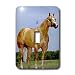 Horse - Palomino Quarter Horse - Light Switch Covers - single toggle switch
