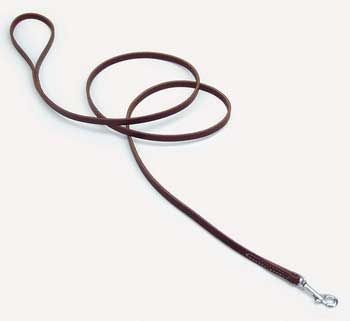 Coastal Pet Circle T Latigo Leather Dog Leash Training Lead (6 ft. x 1/2 Inch W)