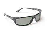 H2Optix Sunglasses Baja Crystal Silver Frame with Gray Polarized Lenses 6917 by